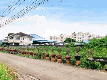 ขายที่ดินรามอินทรา พระยาสุเรนทร์ 17 ใกล้รถไฟฟ้า